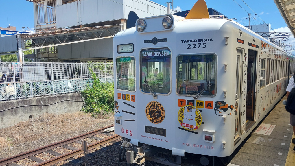 A white electric train #2275 with orange and black decorative calico cat ears on top. Destination sign for Kishi. The words Tama Densha in English and Japanese, cat paw prints and cartoon cats are plastered throughout the front and side.